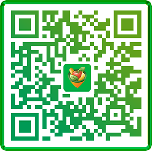 App Store